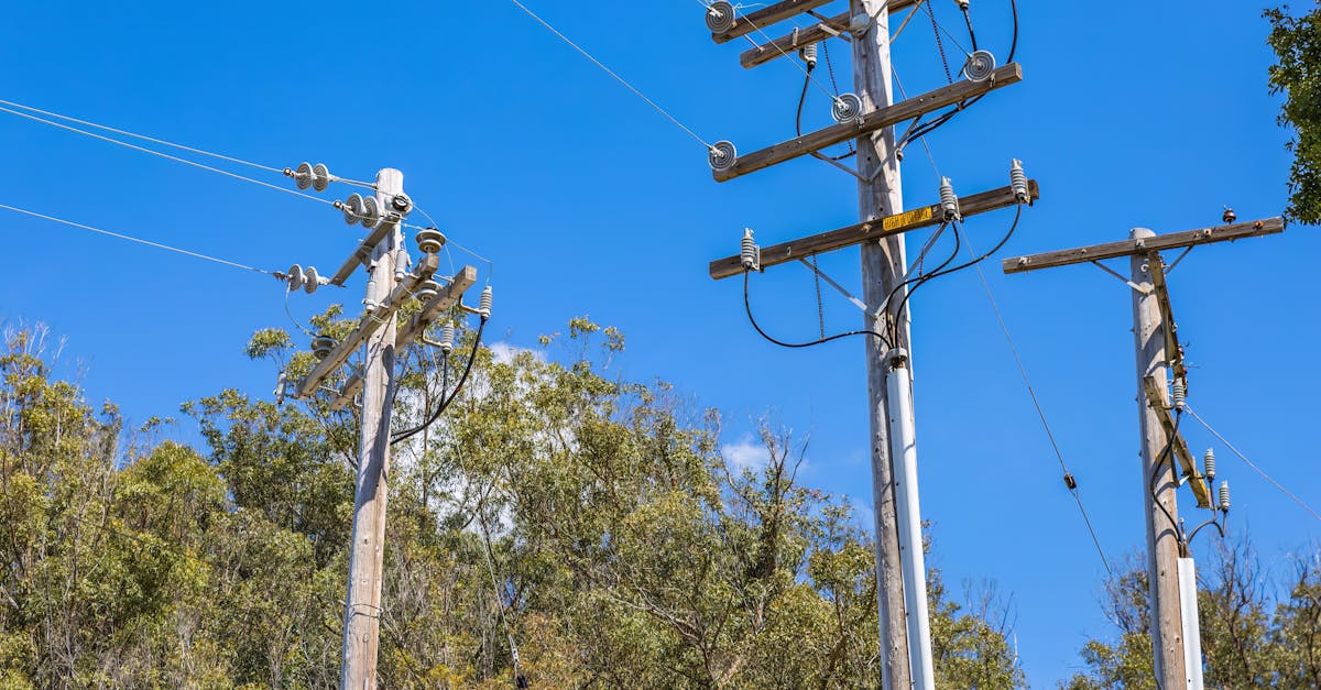 Evaluating the Impact of Power Outages on Electrical Appliances